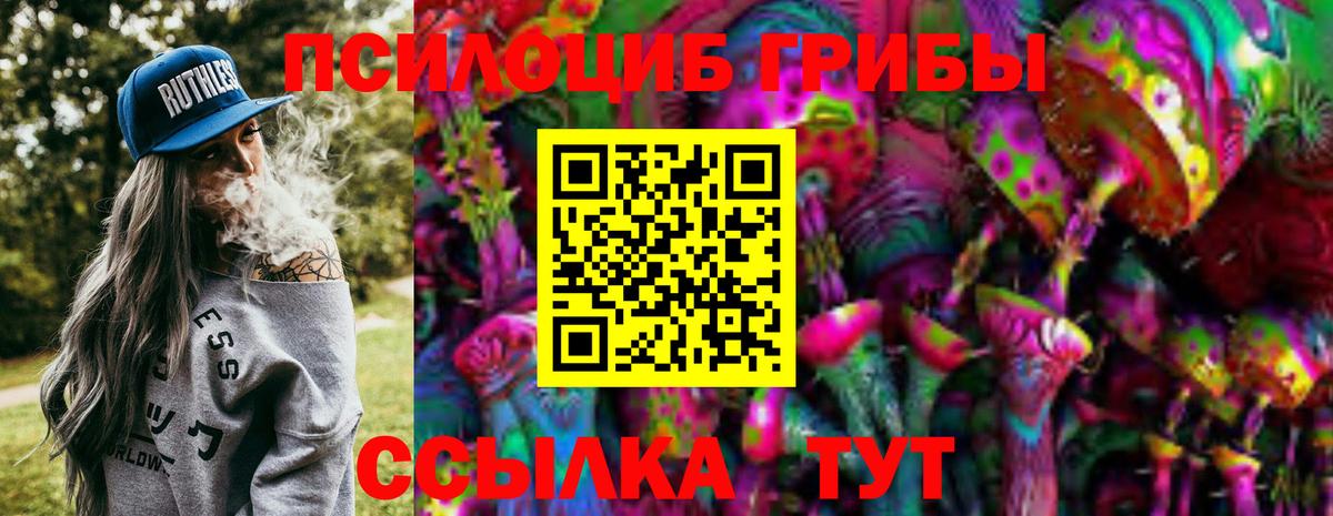 Великий Новгород  Псилоцибиновые грибы Psilocybine cubensis  Вход с VPN 